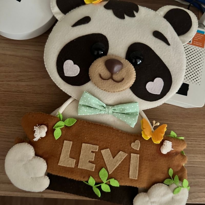 Foto original antes do processamento